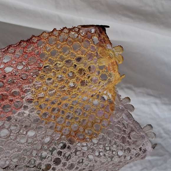 Alfred Dunner Charleston Watercolor Mesh Top 3/4 Sleeve 1X - Picture 4 of 9